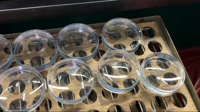 J9.COM·(中国集团)官方网站